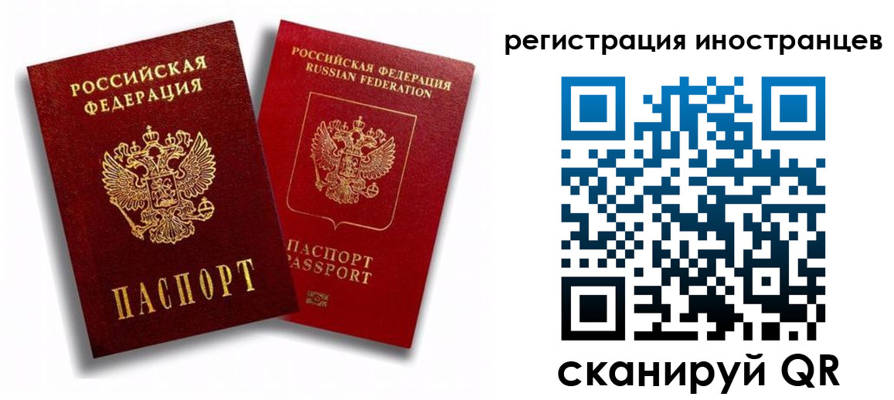регистрация для школы в Борисоглебске